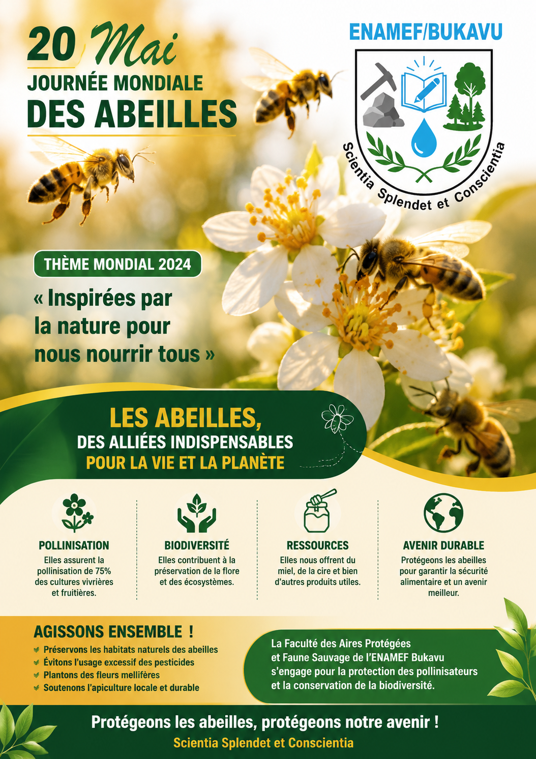 JOURNÉE MONDIALE DES ABEILLES : L’ENAMEF BUKAVU APPELLE À PROTÉGER LES POLLINISATEURS POUR L’AVENIR DES ÉCOSYSTÈMES